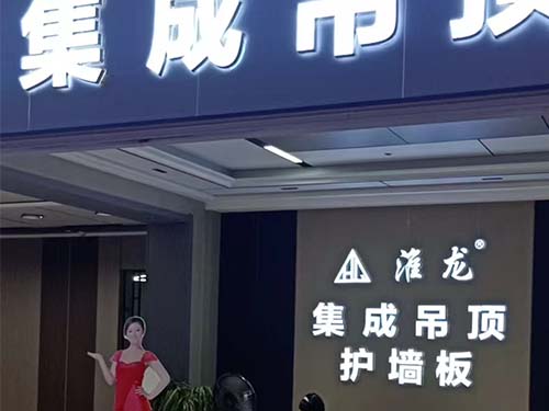 250T快速真空硫化成型機(jī)